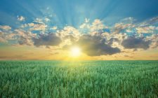 Benefits of Vitamin D