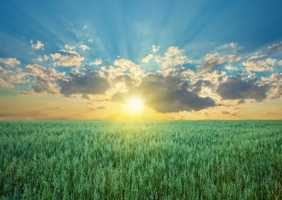 Benefits of Vitamin D